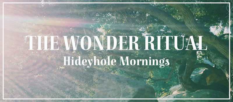 Hideyhole-Banner1