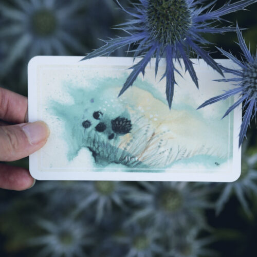 20190118082200_IMG_5586_1 20190118082200_IMG_5586_1