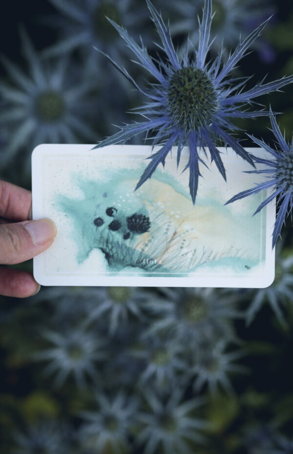 20190118082200_IMG_5586_1 20190118082200_IMG_5586_1