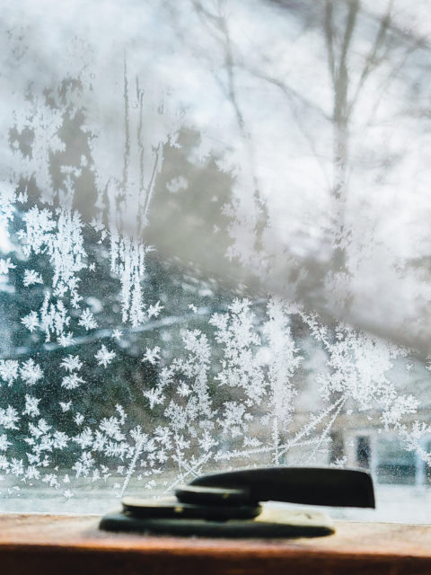 Frosty Window by Amy T. Won