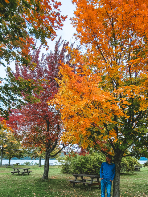 Fall Wonder-Walk Magic by Amy T. Won