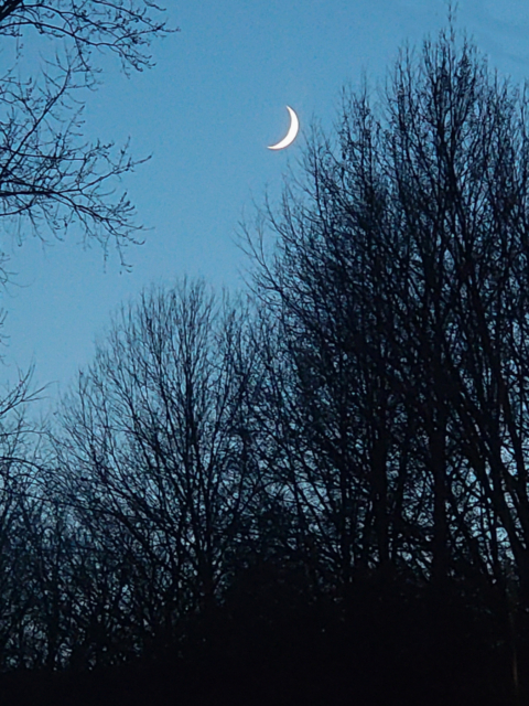 Fall Moon Magic by Amy T. Won