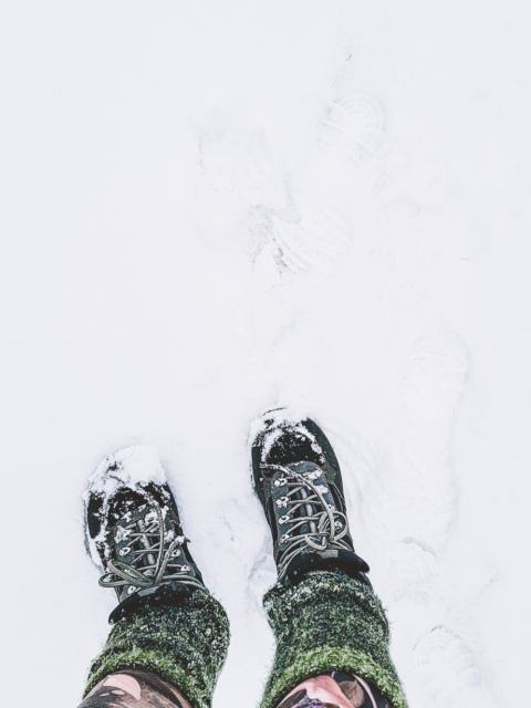 Winter Wonder-Walk Magic by Amy T. Won