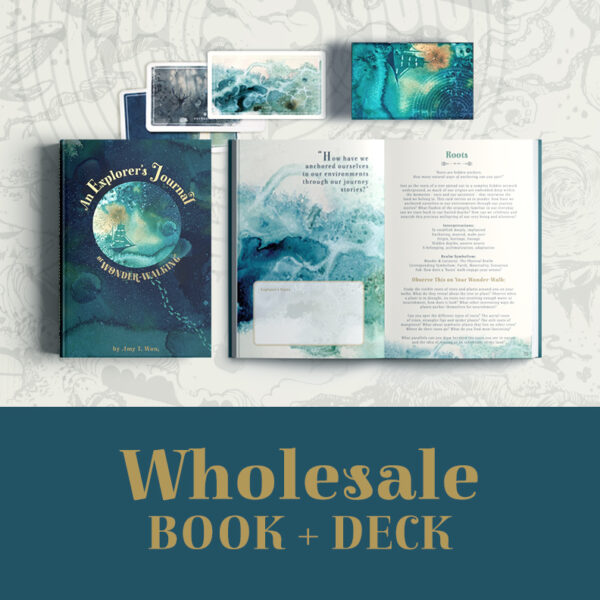 2023-KS2023-Rewards-Curious-BookAndDeck-Wholesale